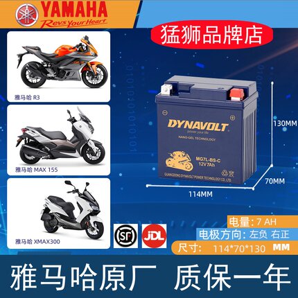 雅马哈飞致YS250天剑王YBR250天峻XTZ125天隼摩托车电瓶12V蓄电池