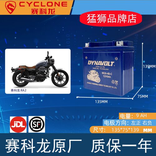 猛狮摩托车电瓶12v通用宗申赛