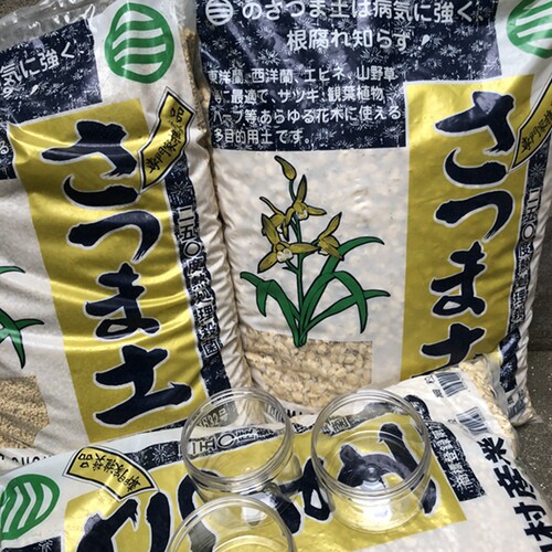 正宗中村植金石日本产