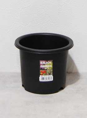日本独家4号菊盆日本进口