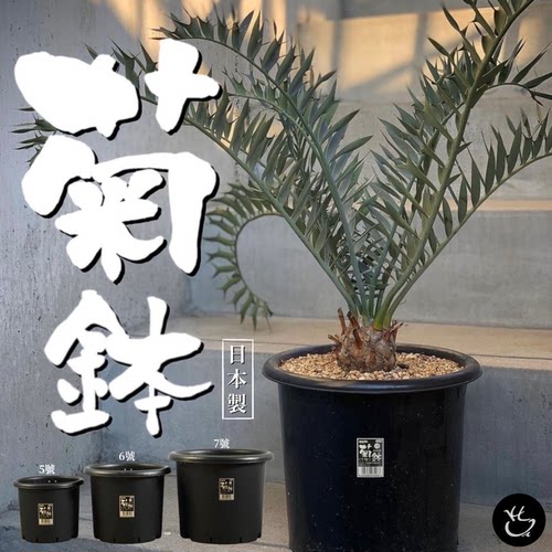 黑色硬质树脂日本产大口盆