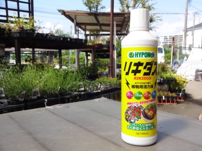 花宝植物活力液 植物活性 蔬菜花卉观叶 预防黑腐 生根促根日本产