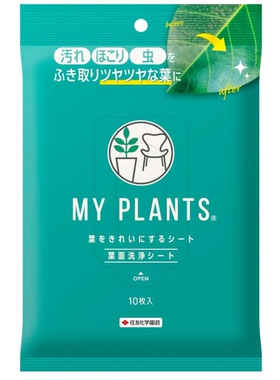 观叶植物叶片擦拭光亮 清洁剂无纺布10枚日本产住友擦灰