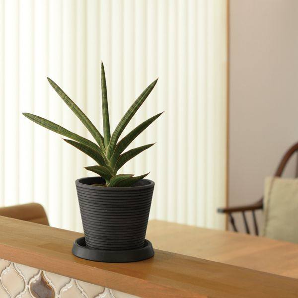 特价植物盆 仿陶盆 树脂花盆日本RICHELL广口盆轻便做旧盆 自然风,鲜花速递/花卉仿真/绿植园艺,花盆,淘宝优惠券,粉丝福利购,淘宝优惠卷