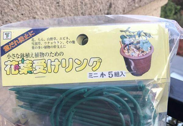 雪割草支架一套 日本制 植物支撑盆栽架 虾脊兰花茎支柱 圆形支架