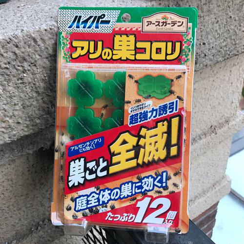 日本产吸蜜型蚂蚁铒进口