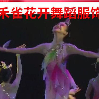 禾雀花儿舞蹈演出服禾雀花儿表演服唯美紧身连体服儿童舞蹈演出服