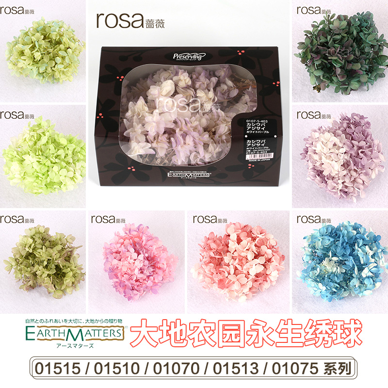 薔薇小葉永生白色粉色大紅繡球花紫陽花日本大地農園進口永生花