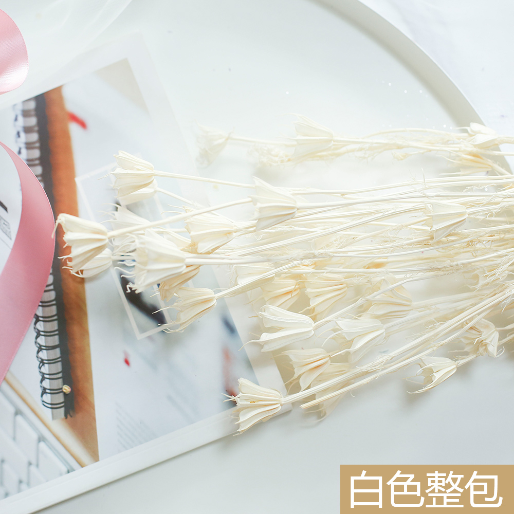 薔薇國產白色八角花永生花干花插花瓶配飾配材永生花保鮮花