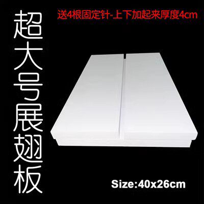 高密度EVA蝴蝶昆虫标本展翅板