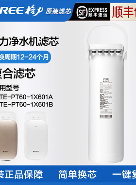 格力净水器原厂WTE-PT60-1X601A/WTE-PT60-1X601B复合PRP原装滤芯