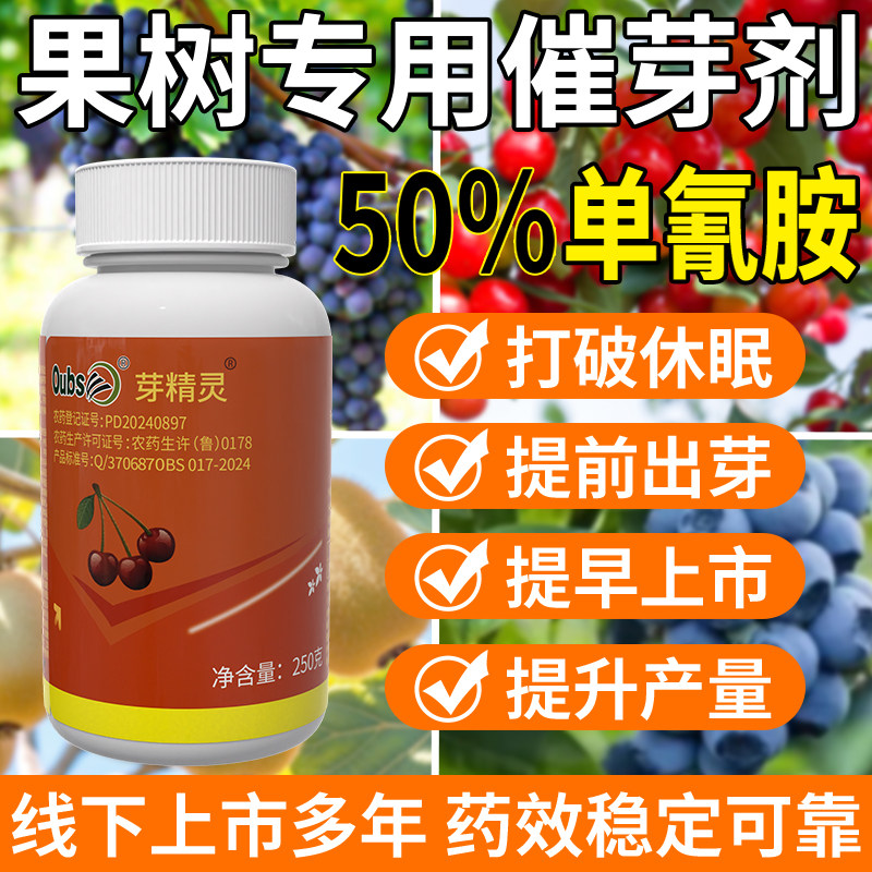 50%单氰胺葡萄催芽促芽破眠剂提早发芽单青氰氢氨铵胺生长调节剂