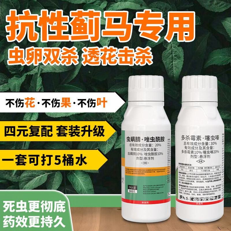 蓟马效特专用药虫卵双杀果树茄子辣椒多杀霉素唑虫酰胺豆角杀虫剂