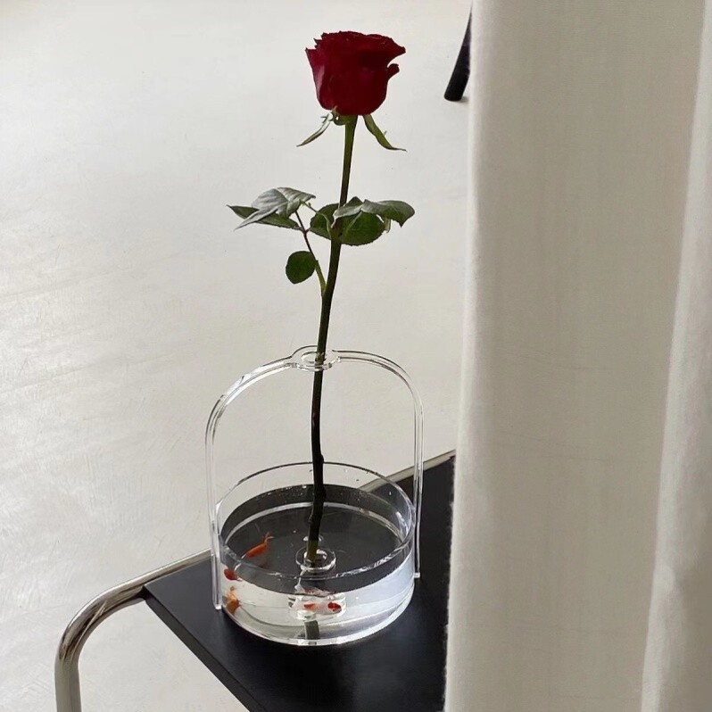 孔雀鱼鱼卵办公桌热带鱼礼物水培客厅艺术造型鱼缸饲养小型加厚