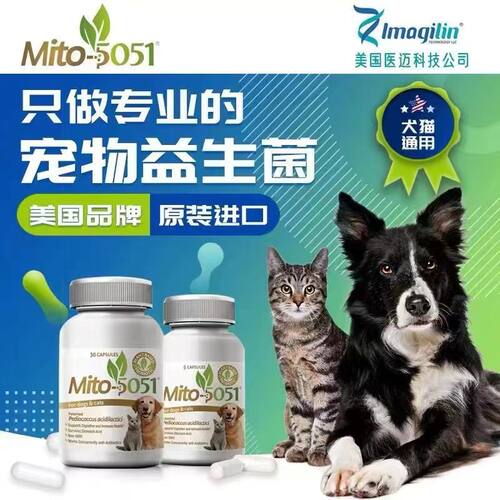 肠道益生菌泌尿肾脏健康犬猫通用