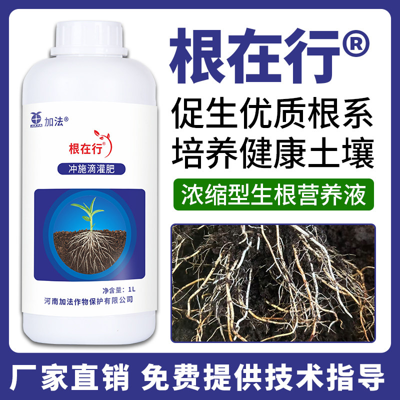 加法根在行果树蔬菜生根冲施肥促生优质根系培养健康土壤冲施滴灌