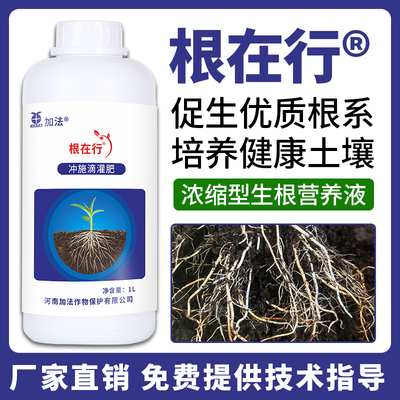 加法根在行果蔬生根冲施肥