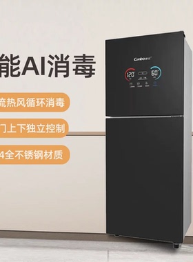 康宝立式消毒柜家用热风婴儿奶瓶砧板AI智能消毒碗柜304不锈钢KT2