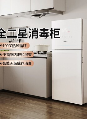 康宝消毒柜家用立式不锈钢厨房碗具母婴奶瓶消毒碗柜XDZ115-LF5B