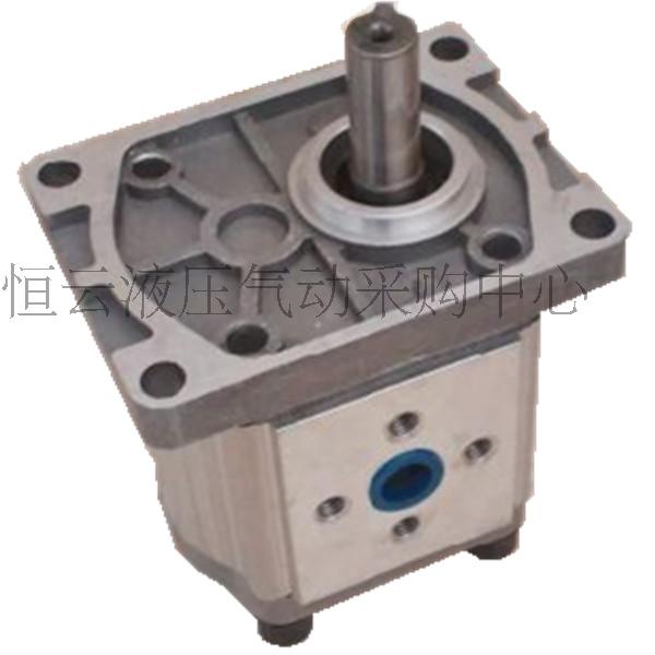 CBN/T-E/F3系列齿轮泵CBN/T-F306/CBT-F310/CBT-F314/316/320/325