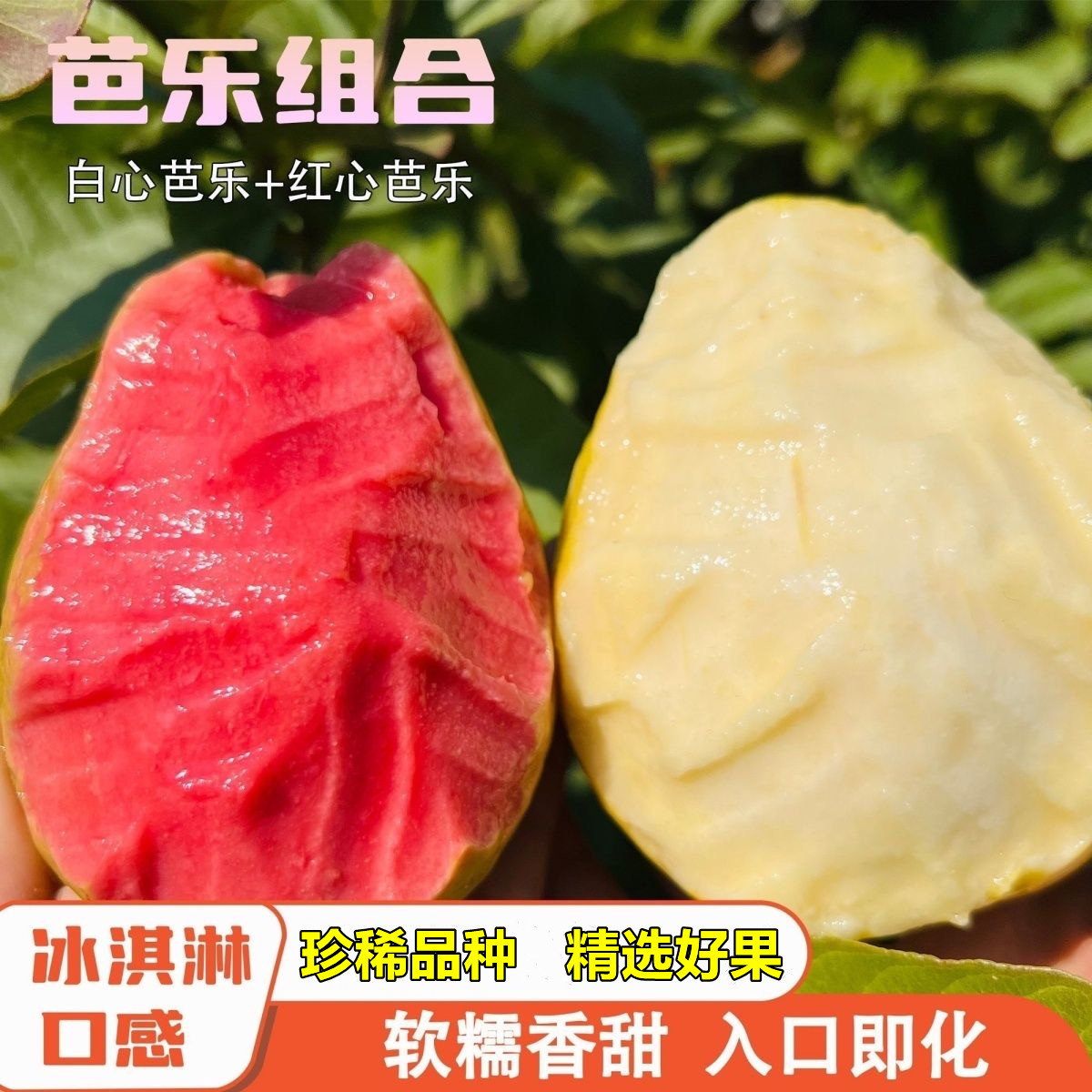福建软红心奶油芭乐软糯香甜红白双拼番石榴现采摘树熟冰淇淋包邮