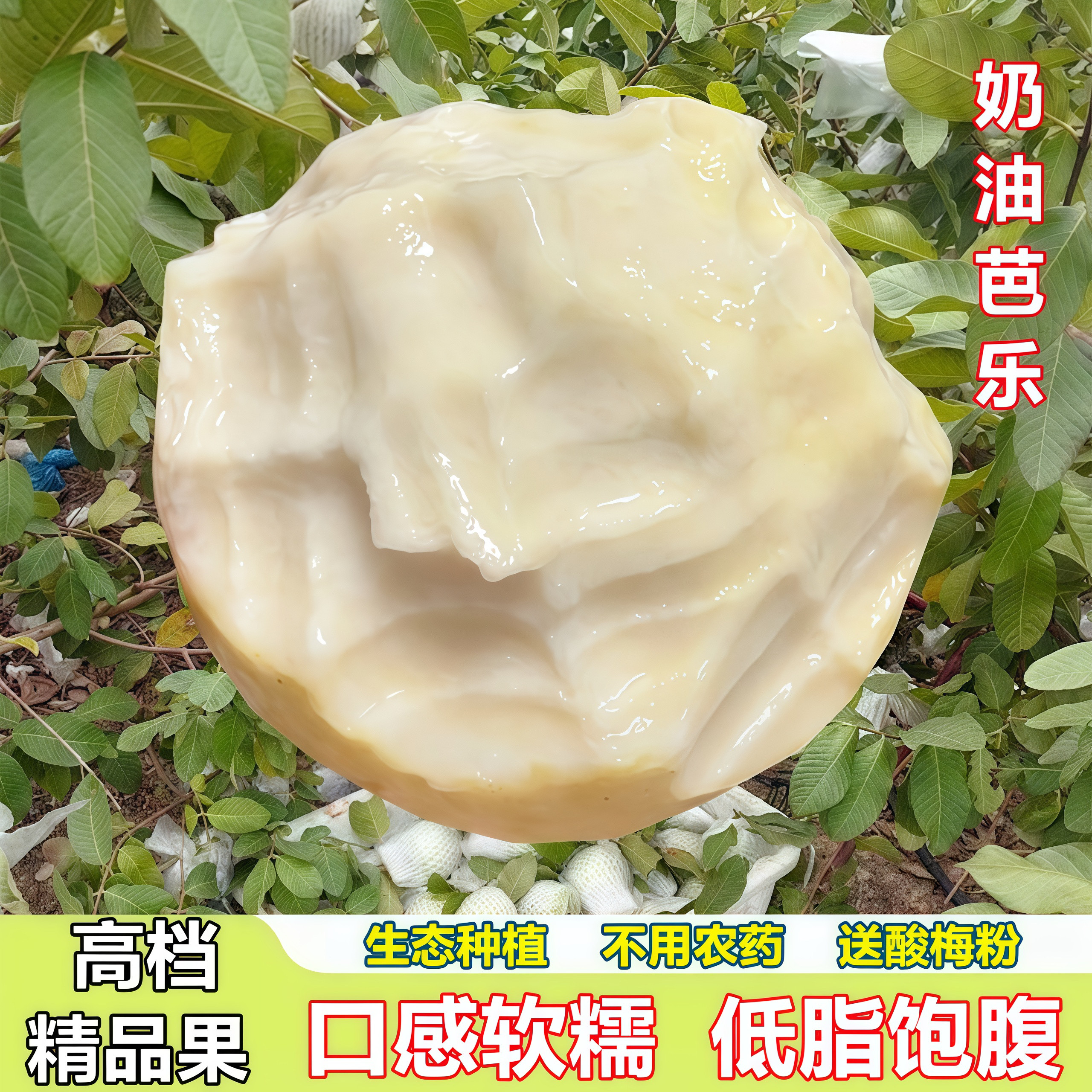 福建漳州奶油芭乐应季新鲜白心番石榴生态种植低脂软糯香低糖水果