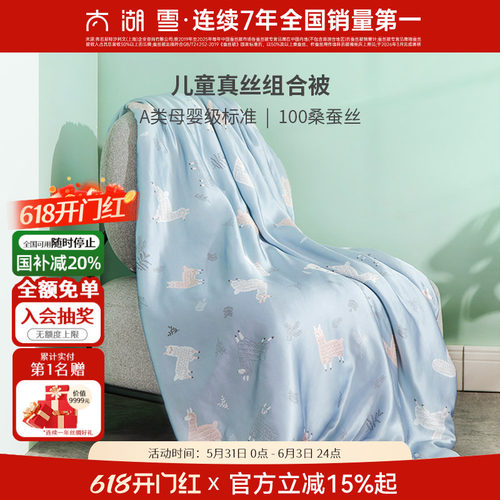太湖雪100%桑蚕丝被夏凉被薄款
