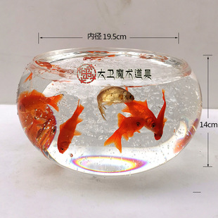 大卫魔术道具空缸出鱼变鱼空手来金鱼古彩戏法满缸鱼年年有鱼魔术