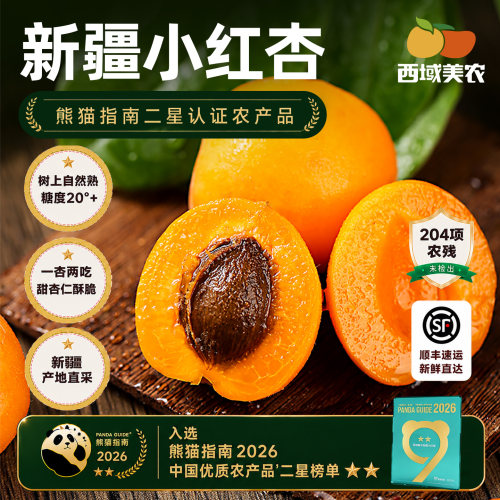 西域美农新疆小红杏3斤