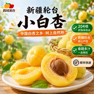 西域美农新疆小白杏3斤轮台当季新鲜甜杏库车水果非银杏小红杏