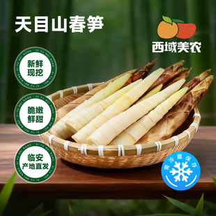 西域美农天目山春笋3斤浙江临安竹笋新鲜雷笋生鲜蔬菜产地直发