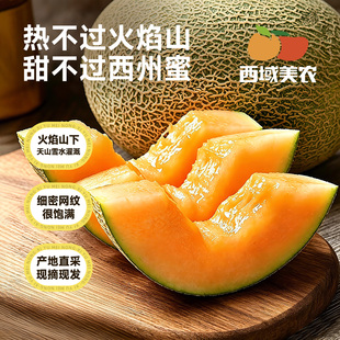 西域美农新疆哈密瓜7斤吐鲁番火焰山西洲密25号脆甜网纹非老汉瓜