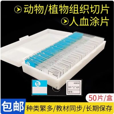 生物切片装片人血涂片叶片横切