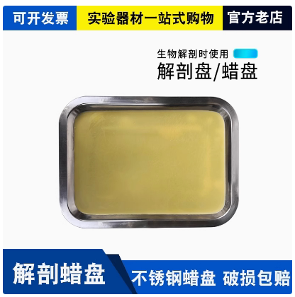 解剖盘19*26cm初中高中生物解剖盘学生用生物教学仪器器材蜡盘
