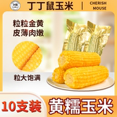 当季 黄黏糯玉米东北甜糯玉米新鲜真空包装 黄苞米10根非转基因