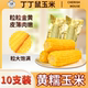当季 黄苞米10根非转基因 黄黏糯玉米东北甜糯玉米新鲜真空包装