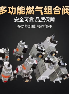MBDLE407 410 412 415 420德国冬斯DUNGS多功能燃气组合阀 阀组