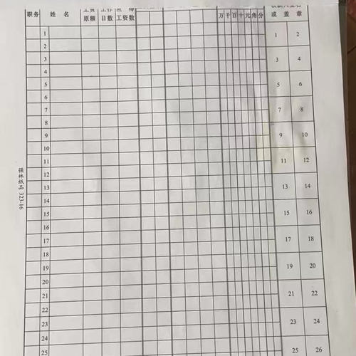 立信工资表 立信竖式工资表 ，强林直式工资表。323-16