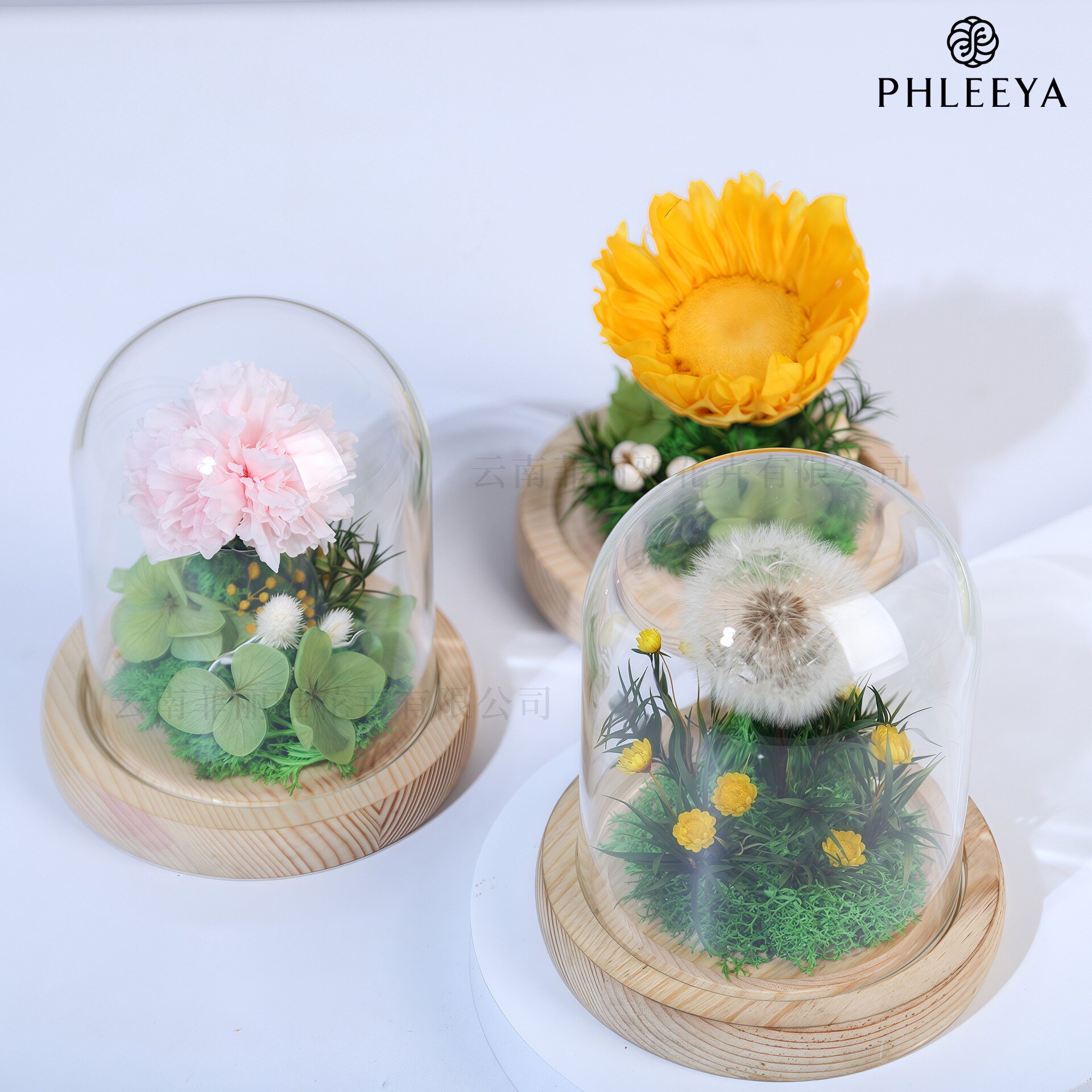 永生花向日葵摆件干花康乃馨迷你玻璃罩玫瑰花束七夕情人节礼物