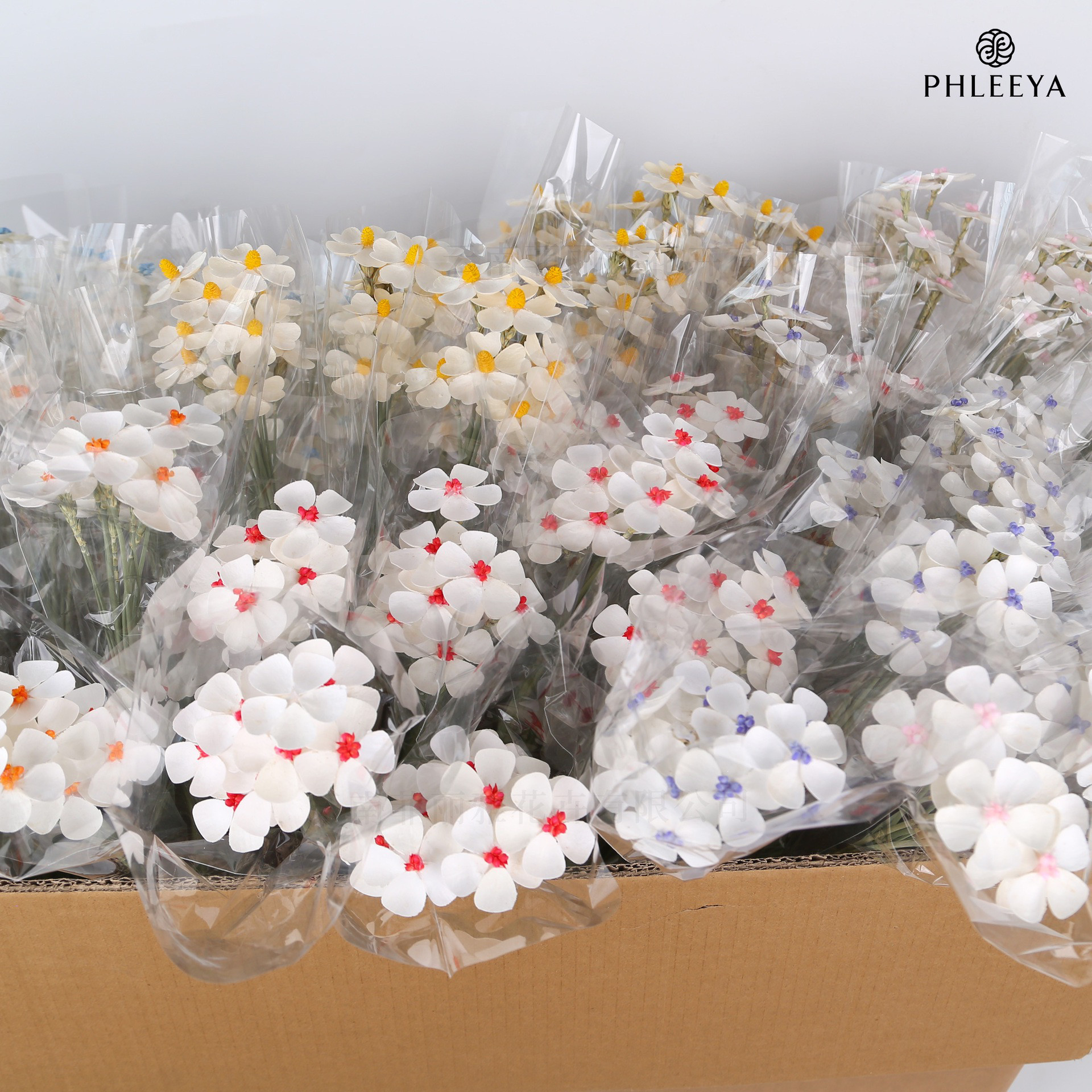 白色紫罗兰手工干花真花永生花紫罗兰花束装饰餐厅摆件简约小清新