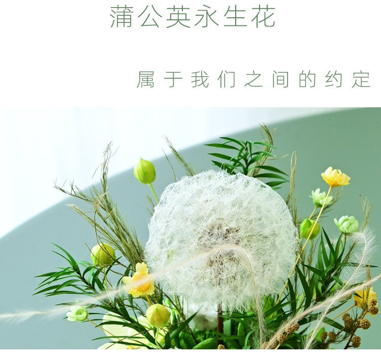 干花真花永生花蒲公英摆件微景观玫瑰花仿真花毕业季企业礼品定制