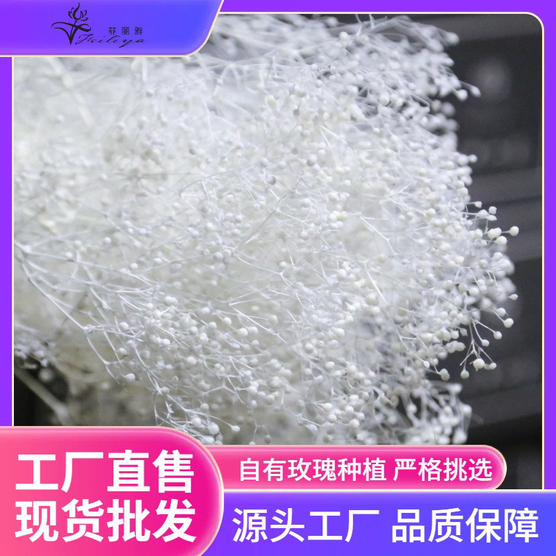 满天星永生花干花花束客厅摆件装饰满天星真花风干餐厅卧室摆设