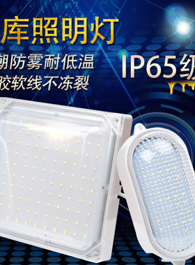 冷库灯节能防水防朝防爆灯低温
