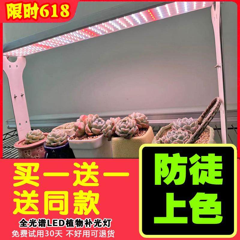 花卉家用绿植仿太阳多肉补光灯