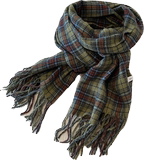 B218-WJ30-P25潮流格纹围巾围脖男女同款新款保暖休闲韩版ins流苏，围巾，电商B218