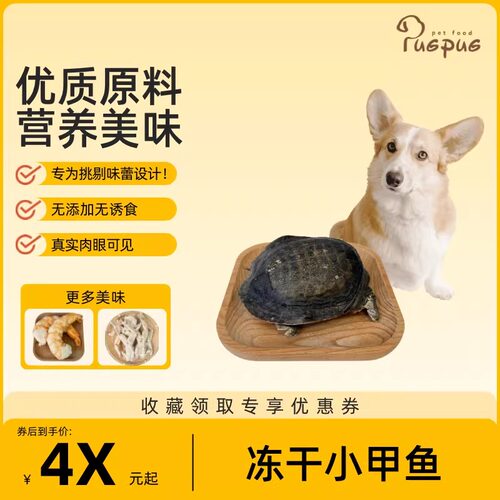 冻干小甲鱼宠物零食狗狗零食磨牙爆款洁齿耐咬天然补剂酥脆无添加