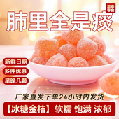 冰糖金桔干甘草金桔正宗天山雪桔肺部大扫除金橘子干蜜饯果脯零食