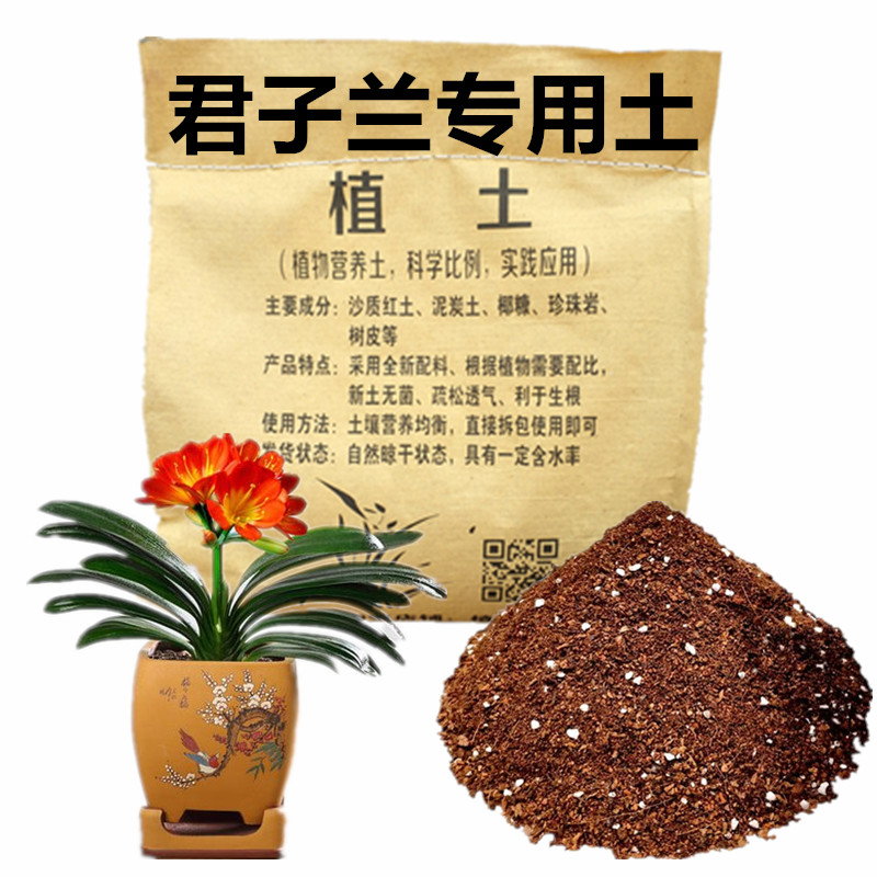 君子兰专用土壤植土兰科植物通用营养土兰花专用土椰糠泥炭土颗粒