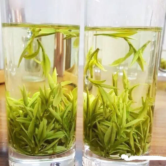 新茶安吉特产白茶125克明前