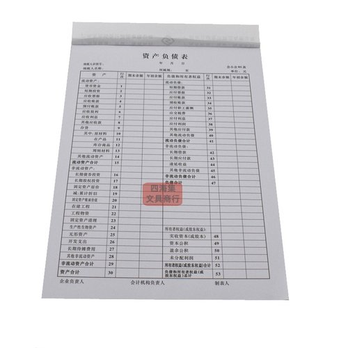 资产负债表利润表现金流量表立信